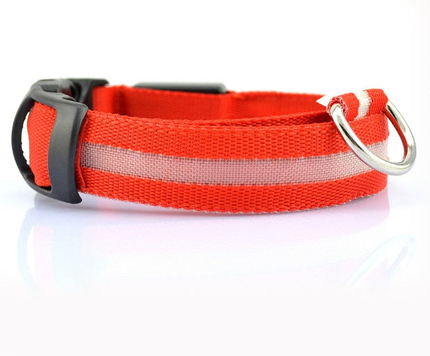 Keep Your Best Friend Safe and Visible With LED Collars