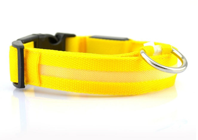 Keep Your Best Friend Safe and Visible With LED Collars