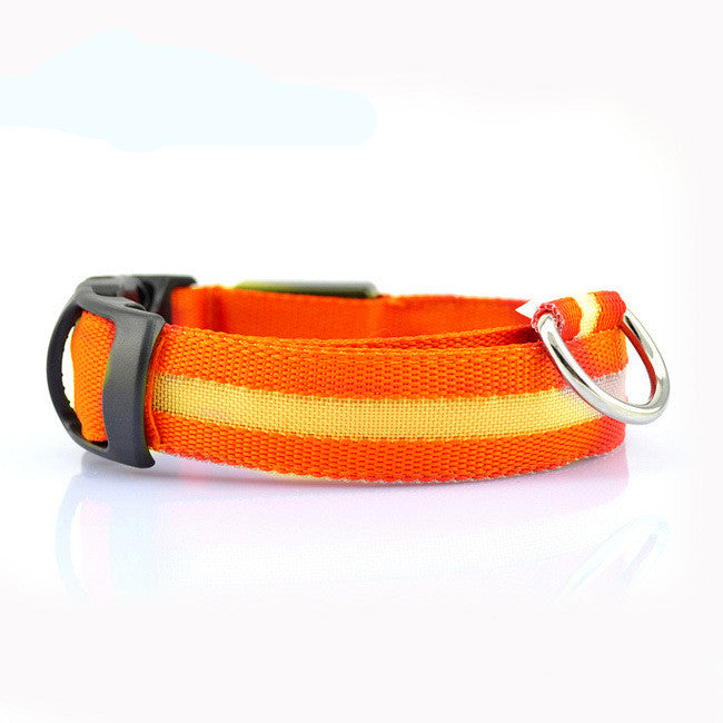 Keep Your Best Friend Safe and Visible With LED Collars