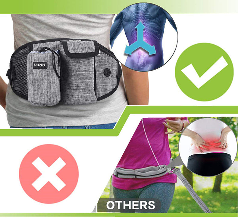 Run and Walk Effortlessly With This 2-in-1 Pet Leash