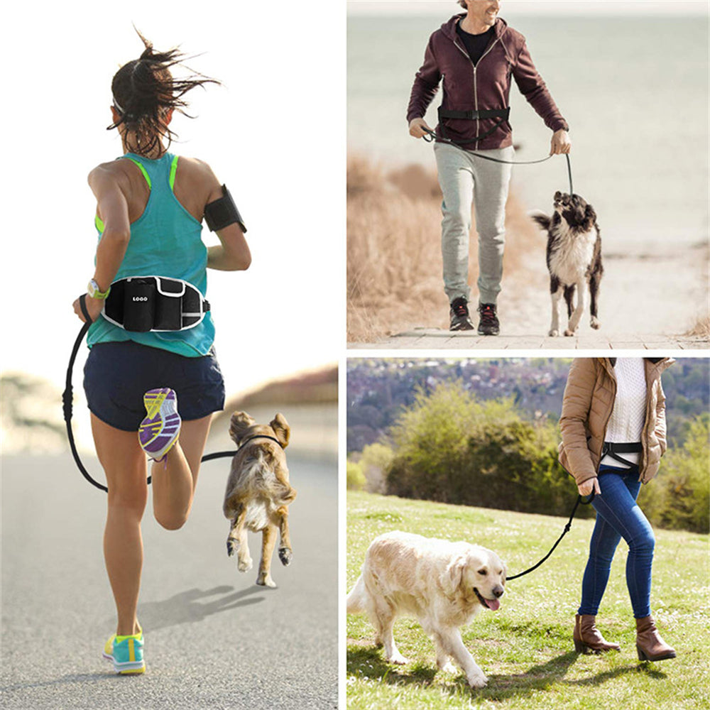 Run and Walk Effortlessly With This 2-in-1 Pet Leash