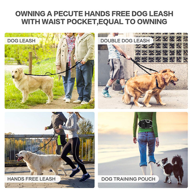 Run and Walk Effortlessly With This 2-in-1 Pet Leash