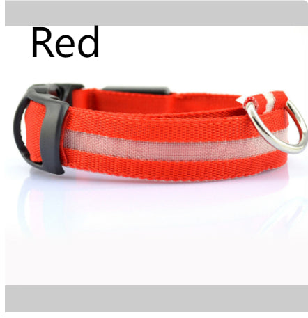 Keep Your Best Friend Safe and Visible With LED Collars