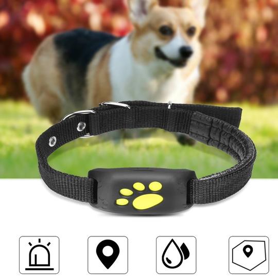Always Together: The Peace-of-Mind GPS Pet Tracker
