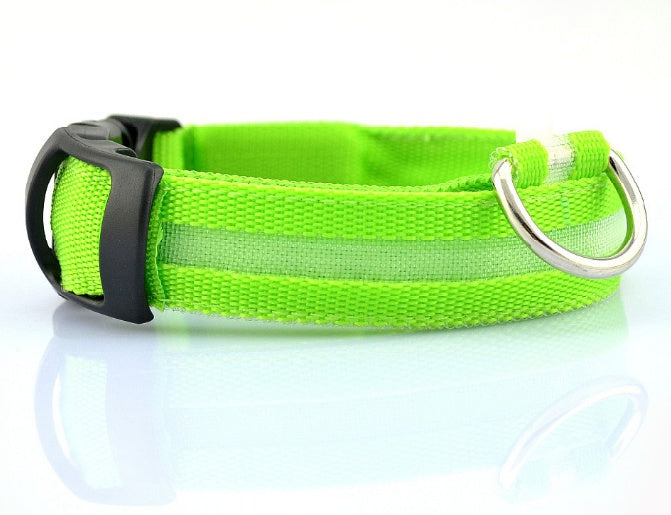 Keep Your Best Friend Safe and Visible With LED Collars