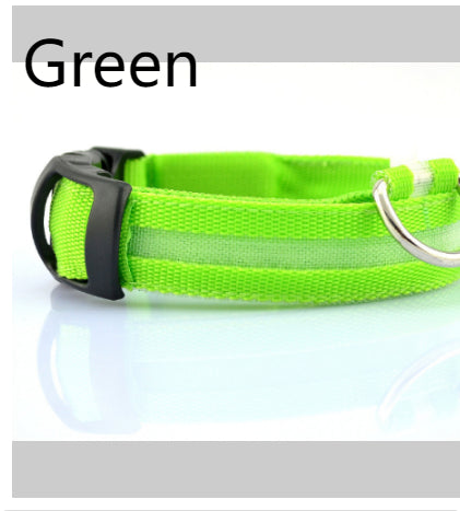 Keep Your Best Friend Safe and Visible With LED Collars