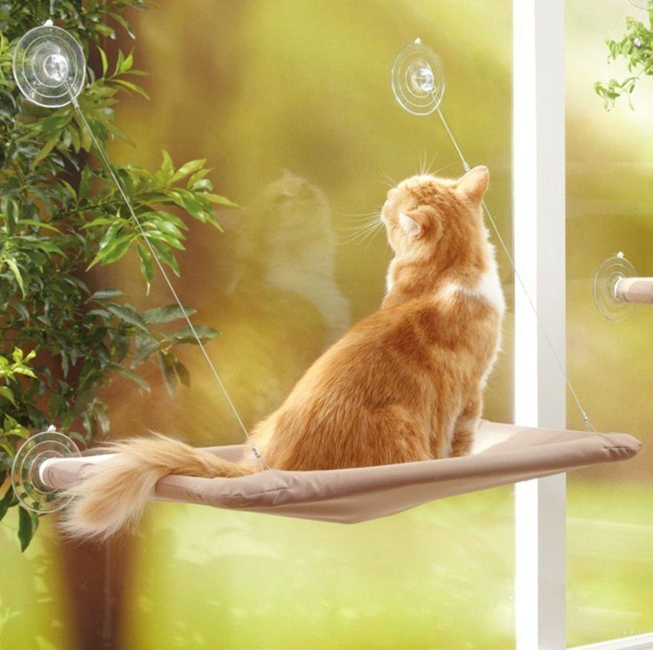 Give Your Cat the Best View With a Sunny Window Hammock