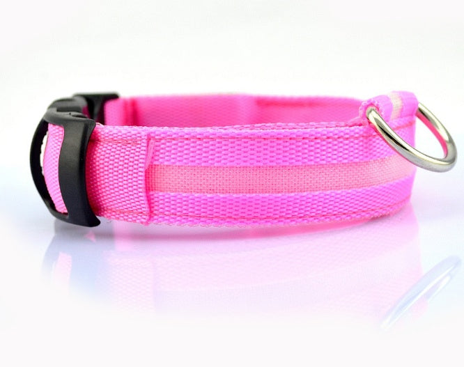 Keep Your Best Friend Safe and Visible With LED Collars