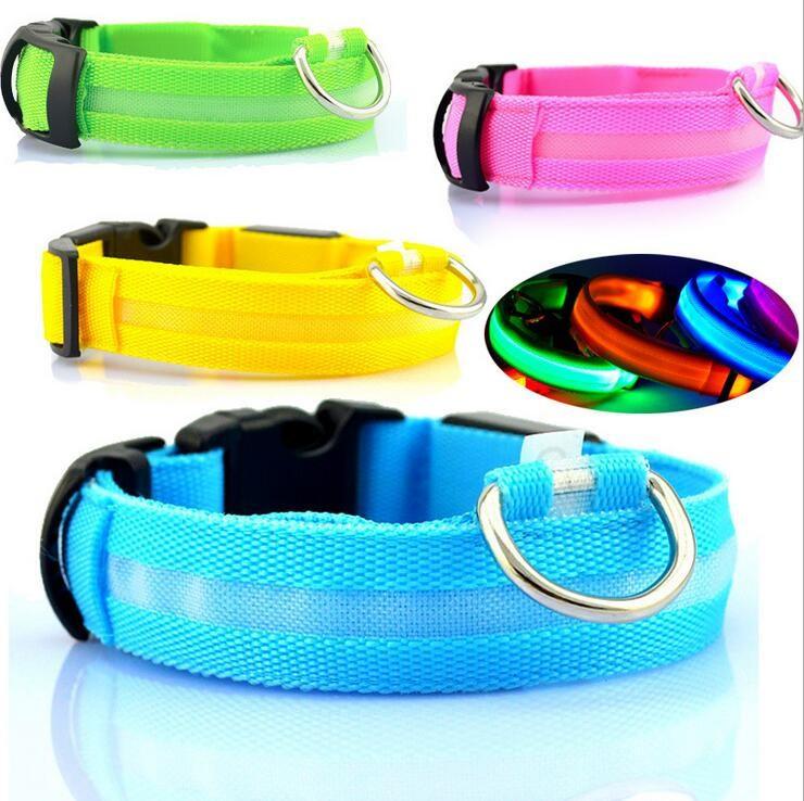 Keep Your Best Friend Safe and Visible With LED Collars