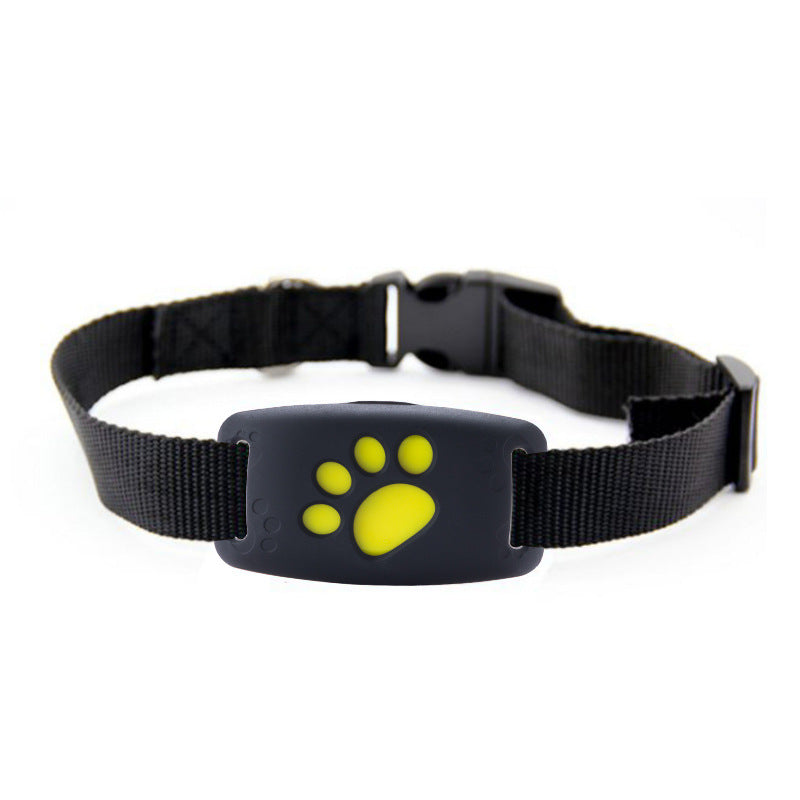 Always Together: The Peace-of-Mind GPS Pet Tracker