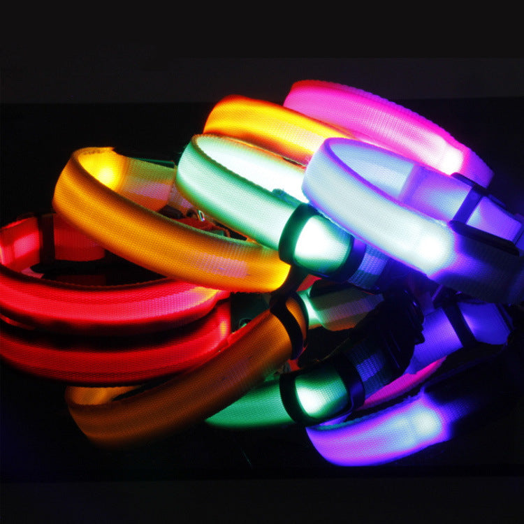 Keep Your Best Friend Safe and Visible With LED Collars