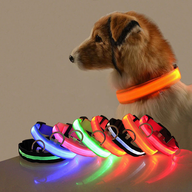 Keep Your Best Friend Safe and Visible With LED Collars