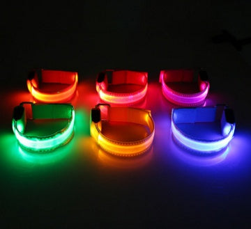 Keep Your Best Friend Safe and Visible With LED Collars