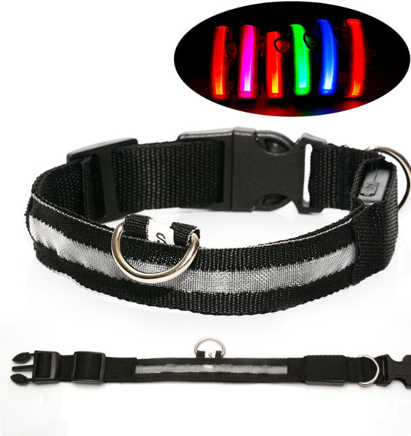 Keep Your Best Friend Safe and Visible With LED Collars