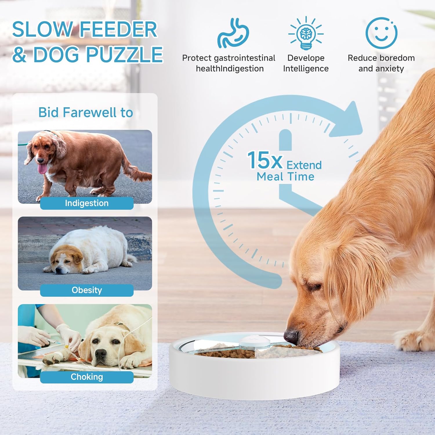 The Ultimate Puzzle Bowl for Happier, Healthier Dog Mealtimes